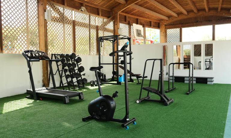 Outdoor gym with equipment, treadmill, and weights.